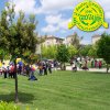 7festaprimavera2010